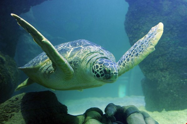 De leukste uitjes voor het hele gezin De leukste uitjes voor het hele gezin